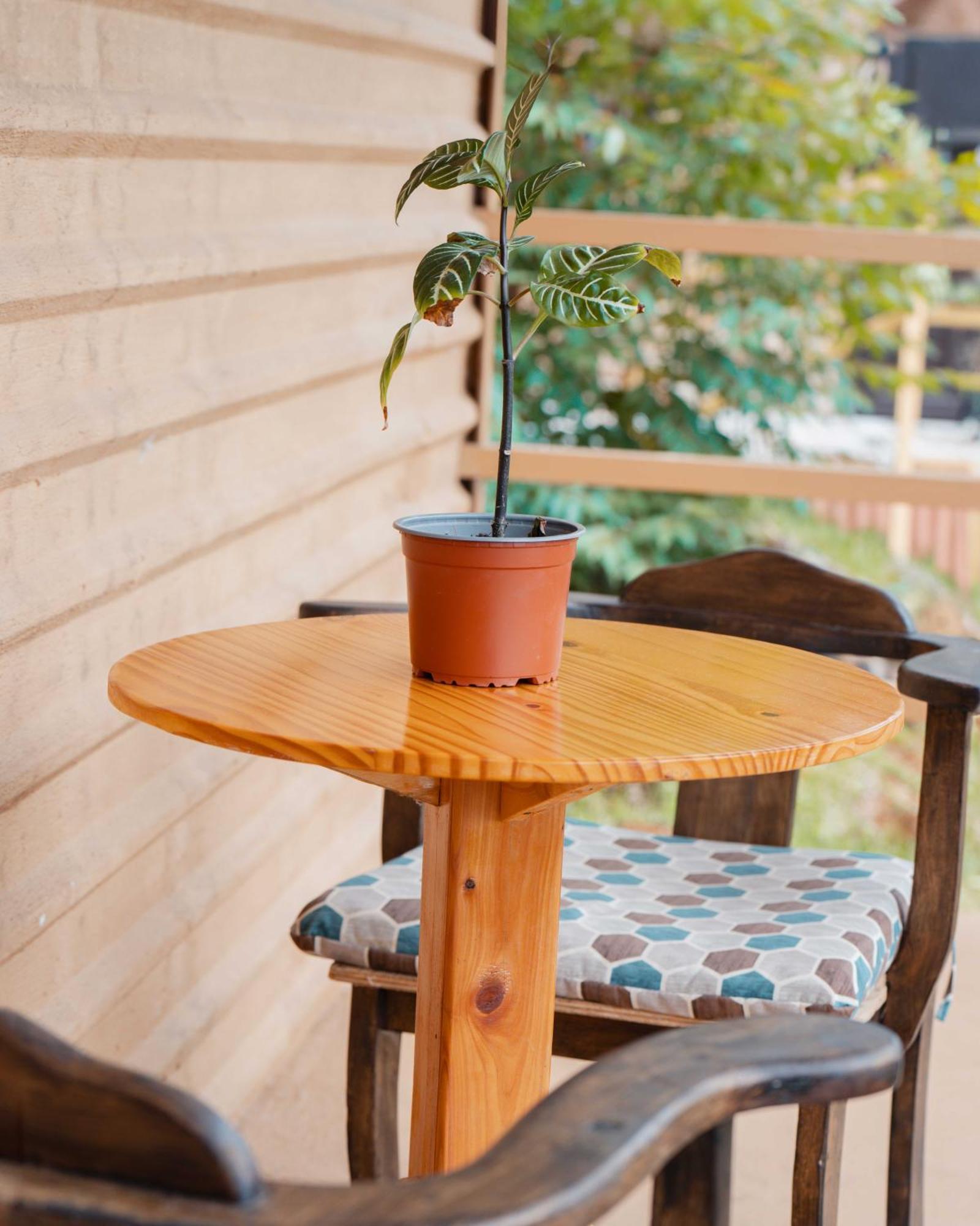 Cabanas La Hacienda San Pablo  エクステリア 写真
